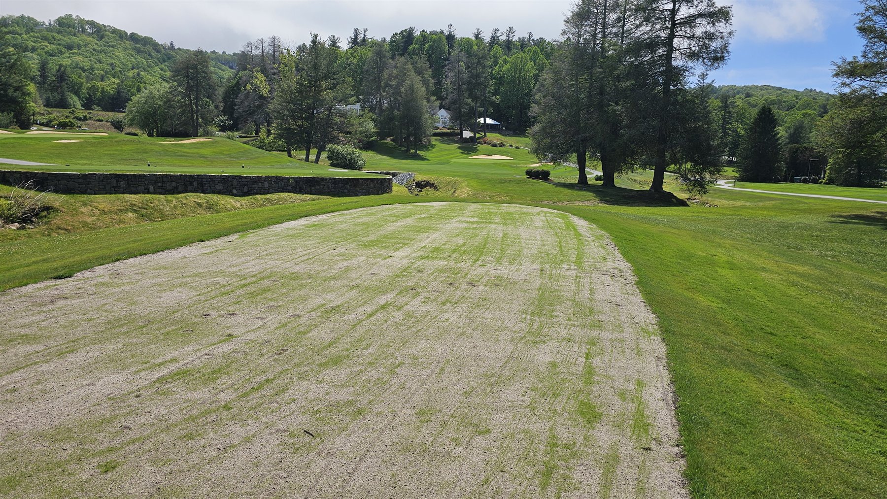 Bentgrass emergence rows on 9 tee, April 28, 2026