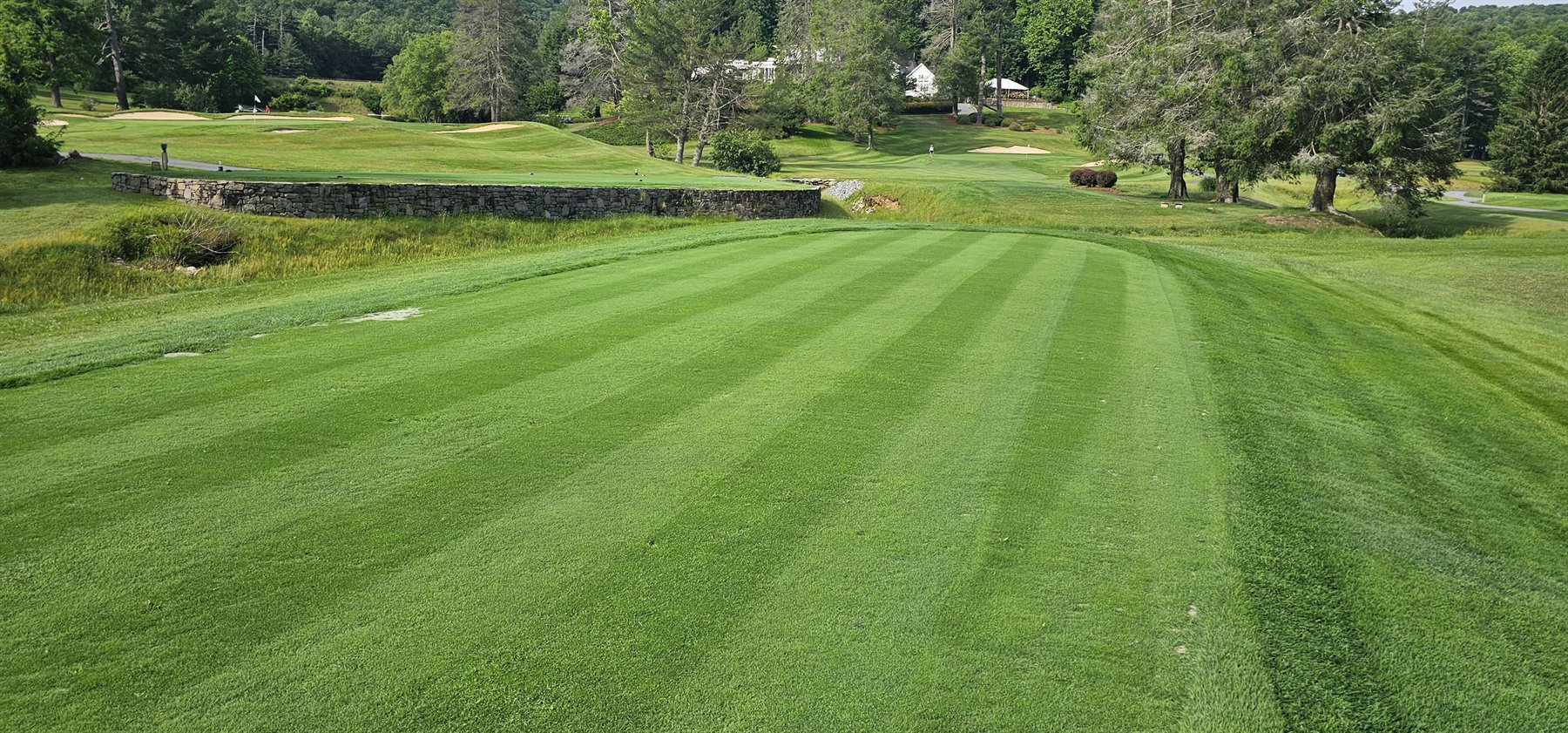 Finished 9 tee with striped bentgrass cover on May 29, 2026