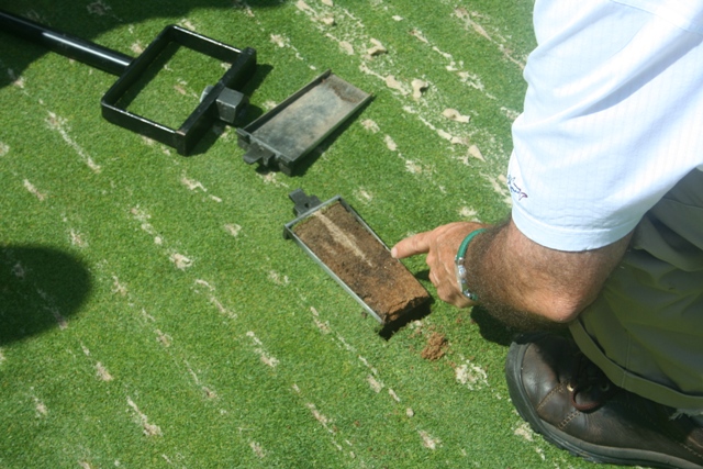 A turf manager holding a rectangular soil plug to inspect the profile layers during aerification prep.