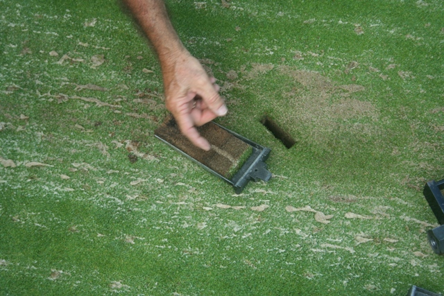 Close-up of a hand examining a fresh soil core showing sand and organic matter layers.