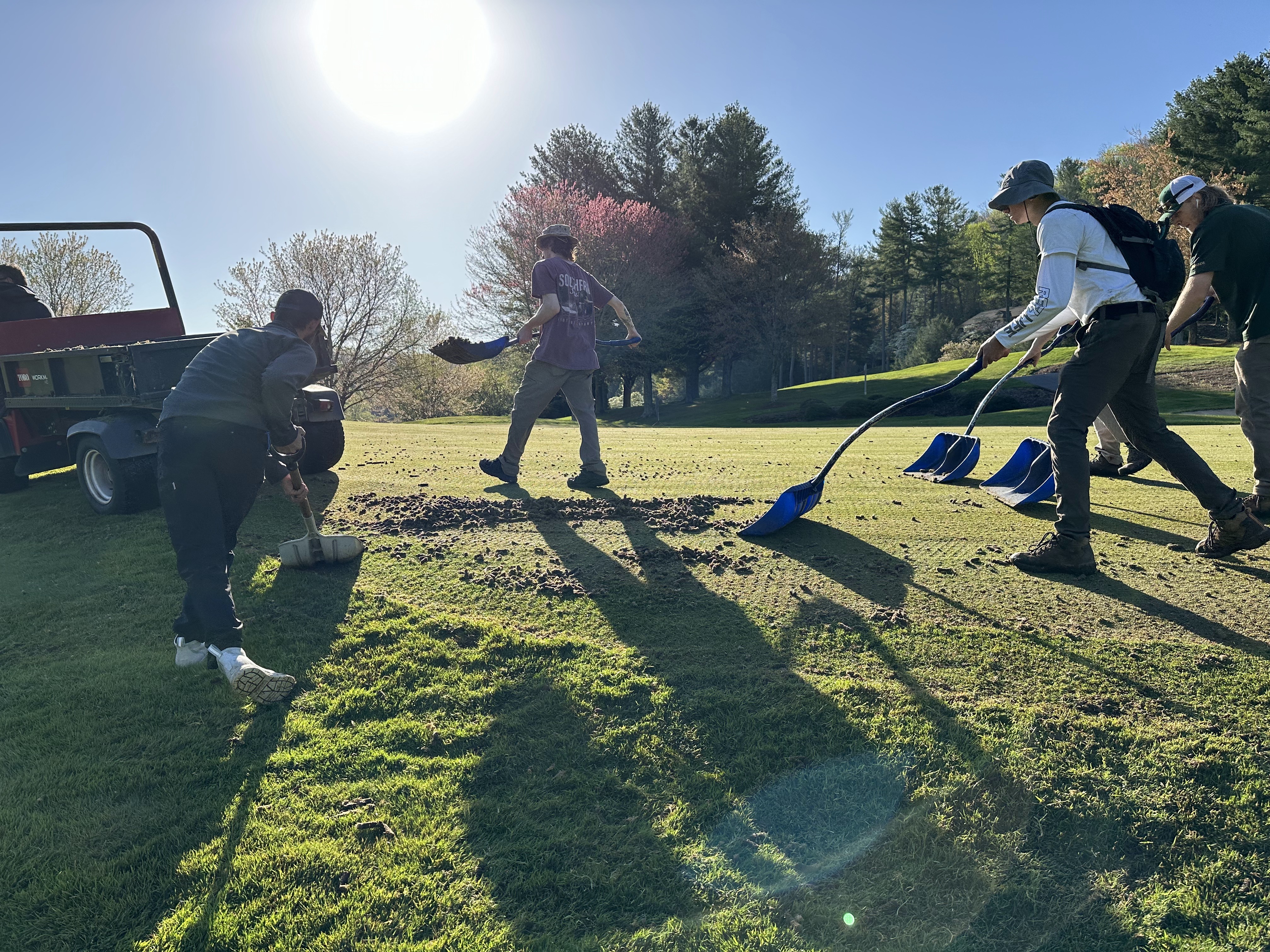 Greens staff shoveling aerification cores into a Toro Workman on a sunny morning.
