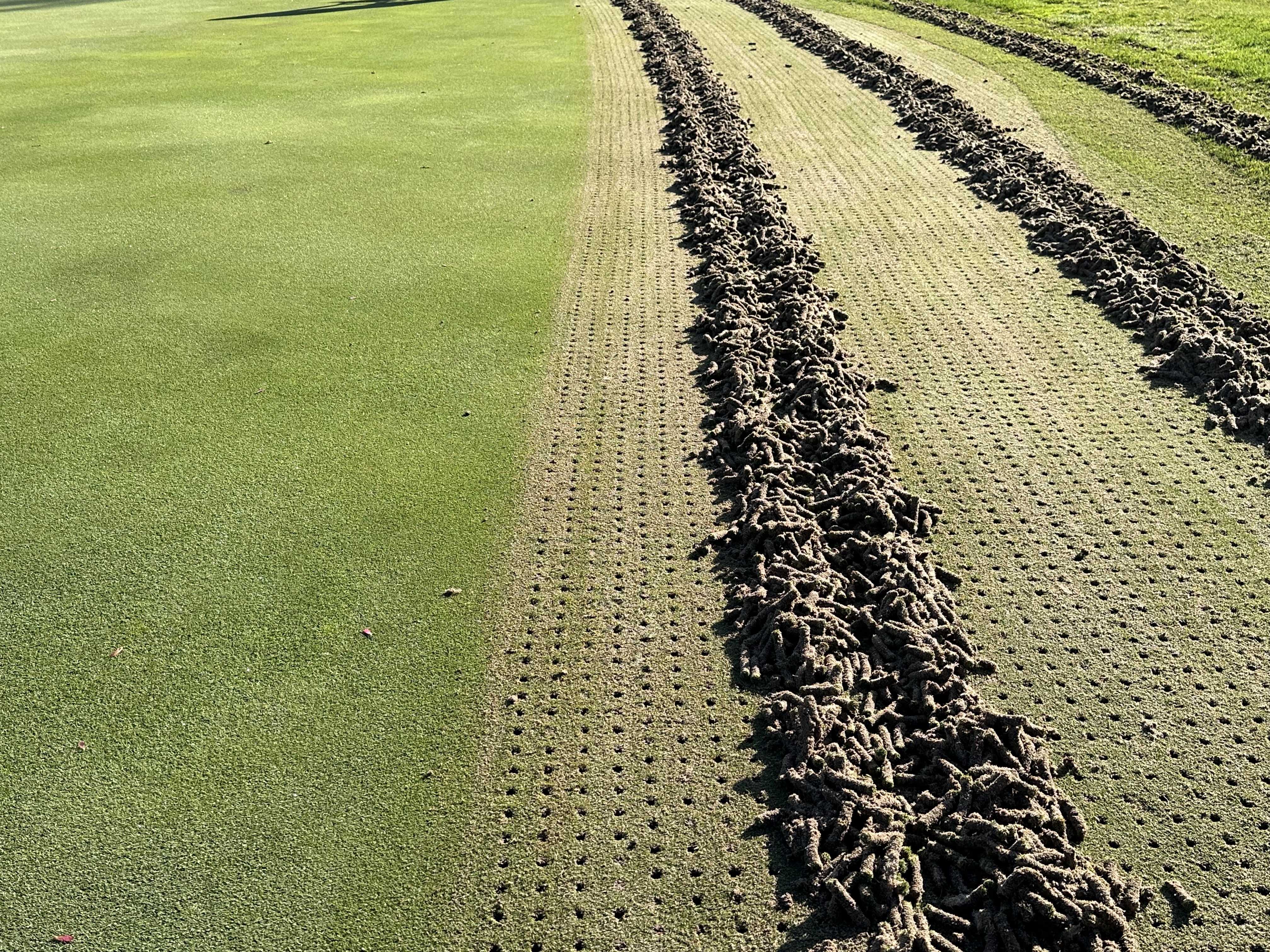 Freshly pulled soil cores in rows beside cleanly aerated turf illustrating before and after.