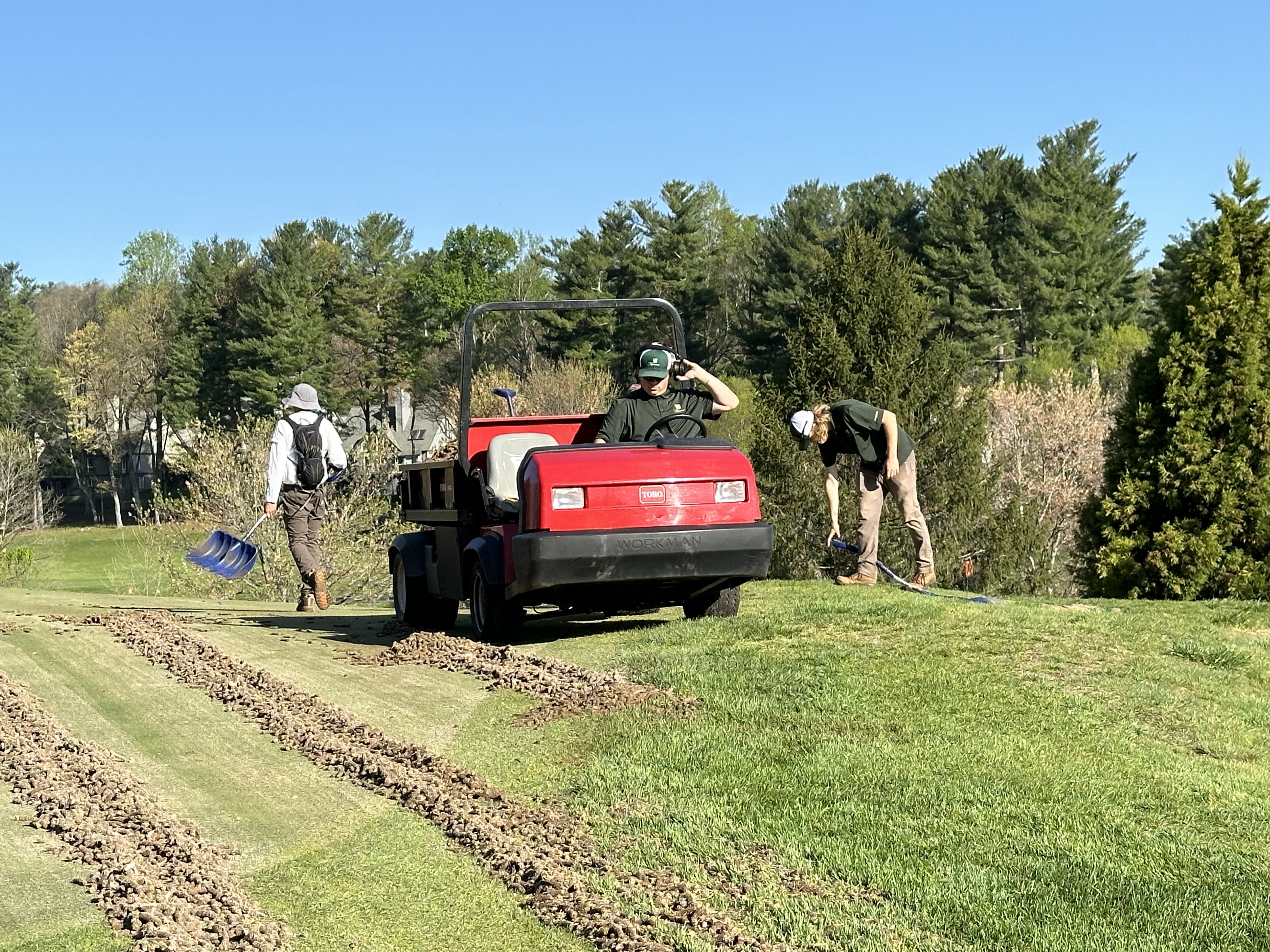 Toro Workman parked on a green as crew members shovel cores into piles under clear skies.