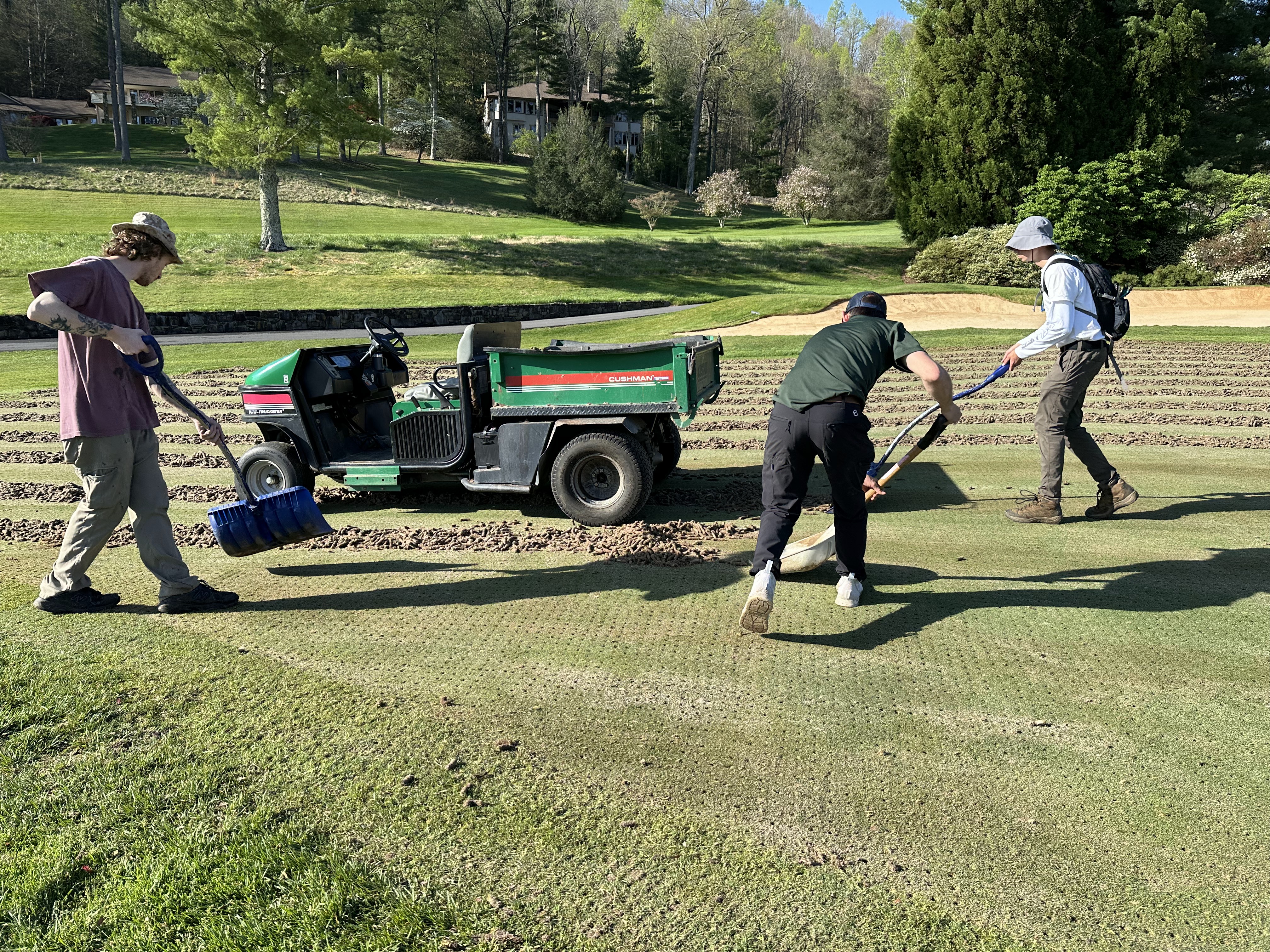 Three crew members loading cores into a Cushman Turf-Truckster with morning sunlight highlighting the work.